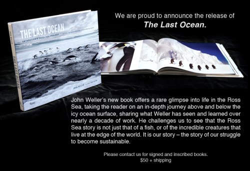 book image for website